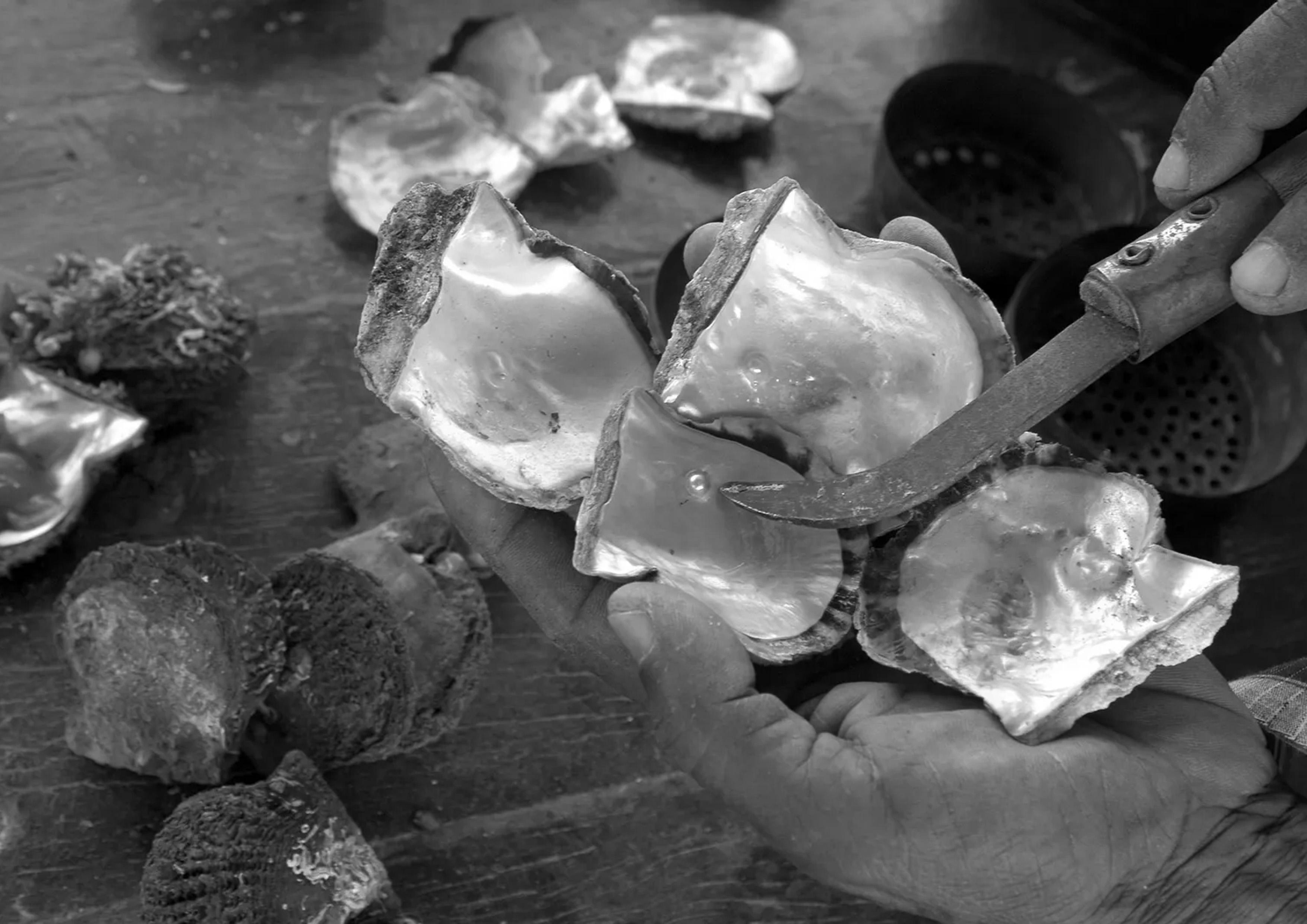 1961 - Showcasing the Elegance of Natural Pearl Jewellery || عام 1961 - إبراز أناقة مجوهرات اللؤلؤ الطبيعي